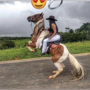 Meet your Posher, Shannon